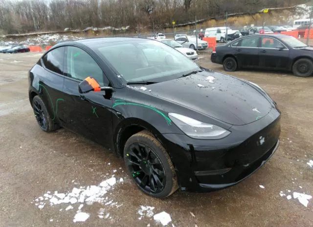 2023 tesla model y
