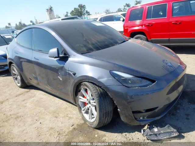 2023 TESLA Model Y