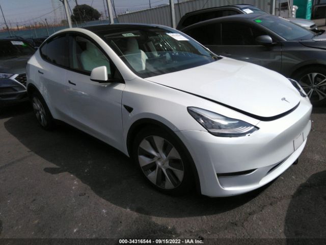 2022 tesla model y
