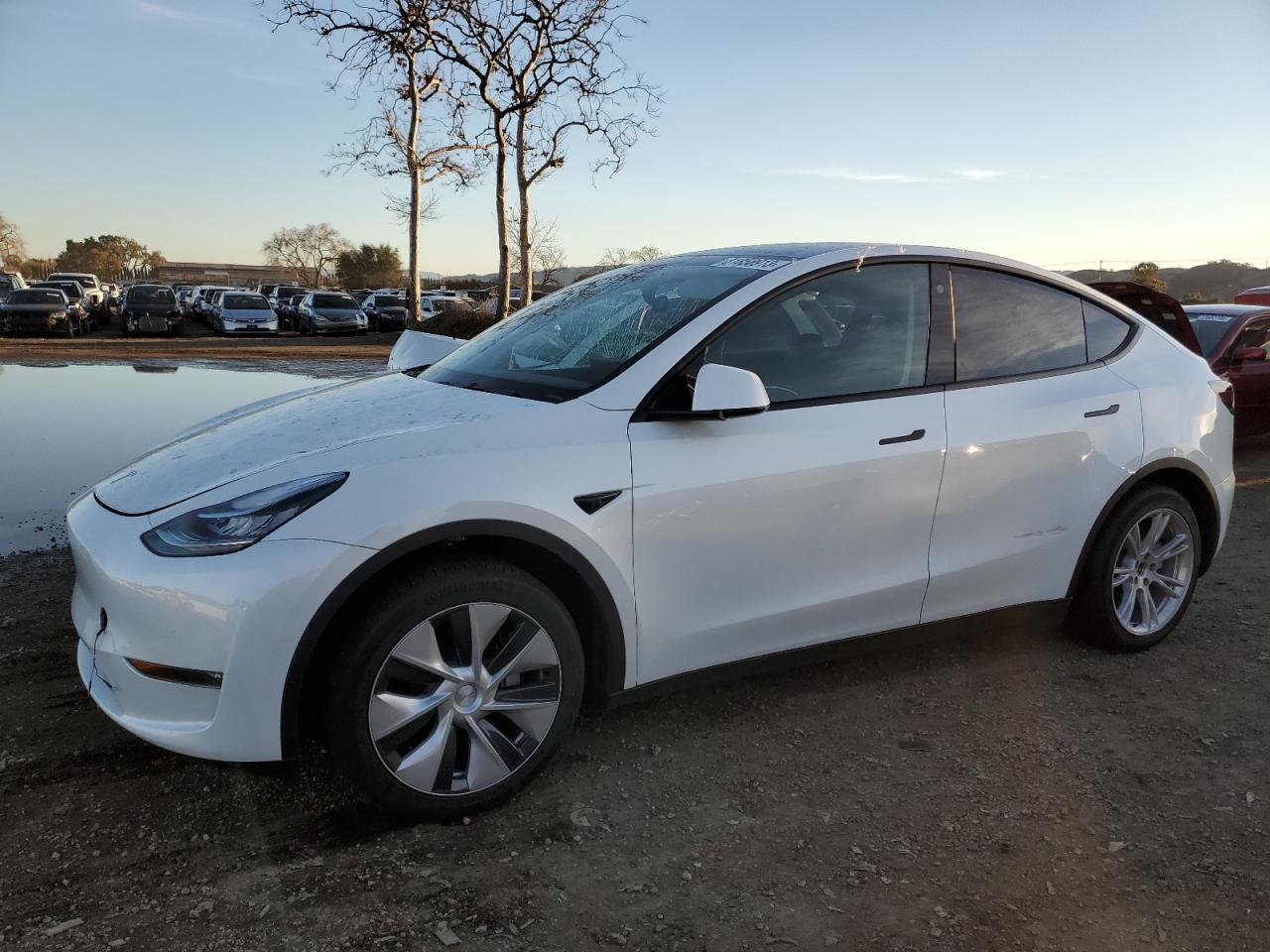 2022 tesla model y