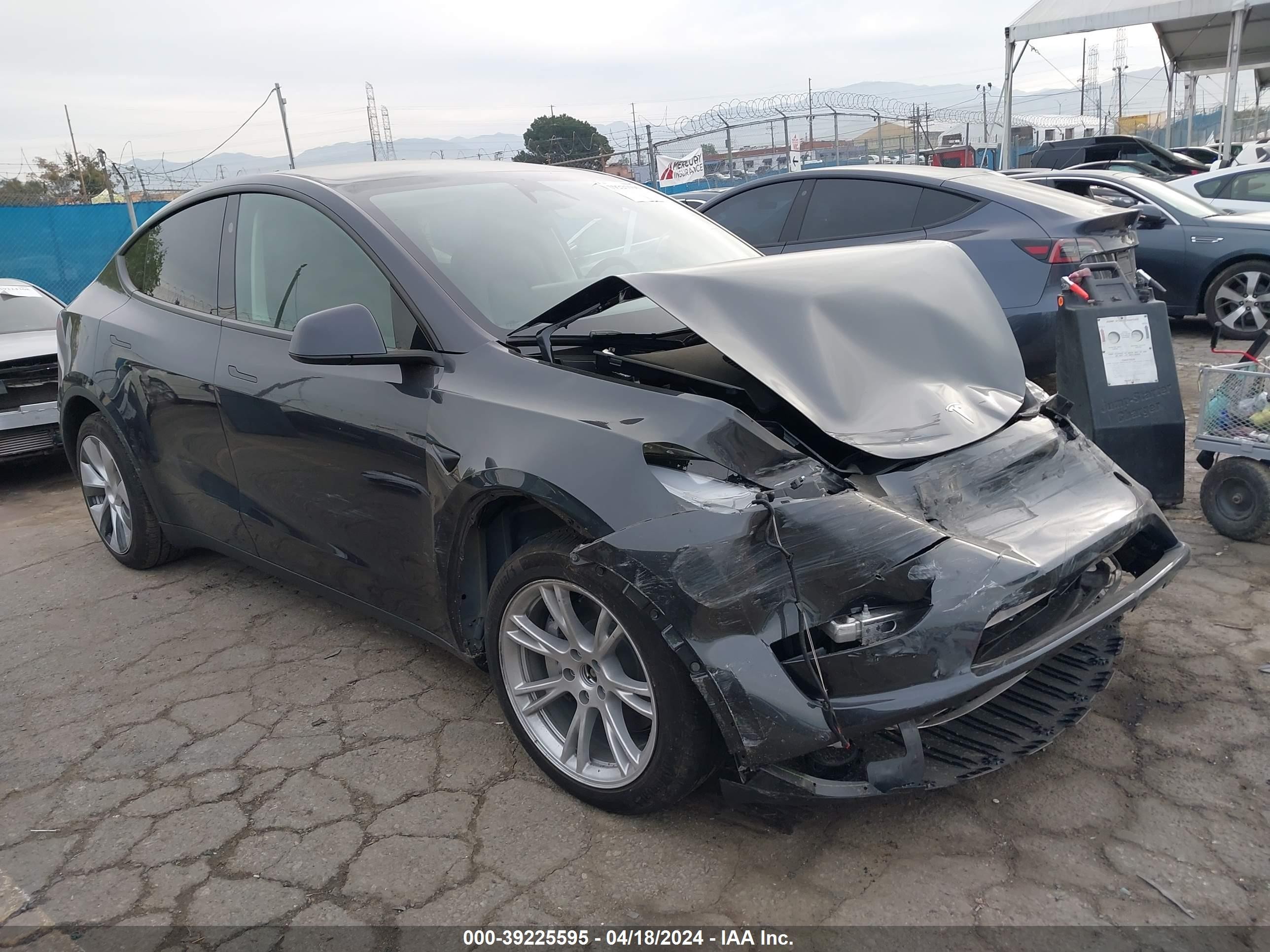 2024 tesla model y