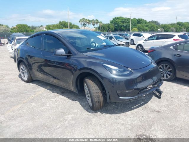 2024 TESLA Model Y
