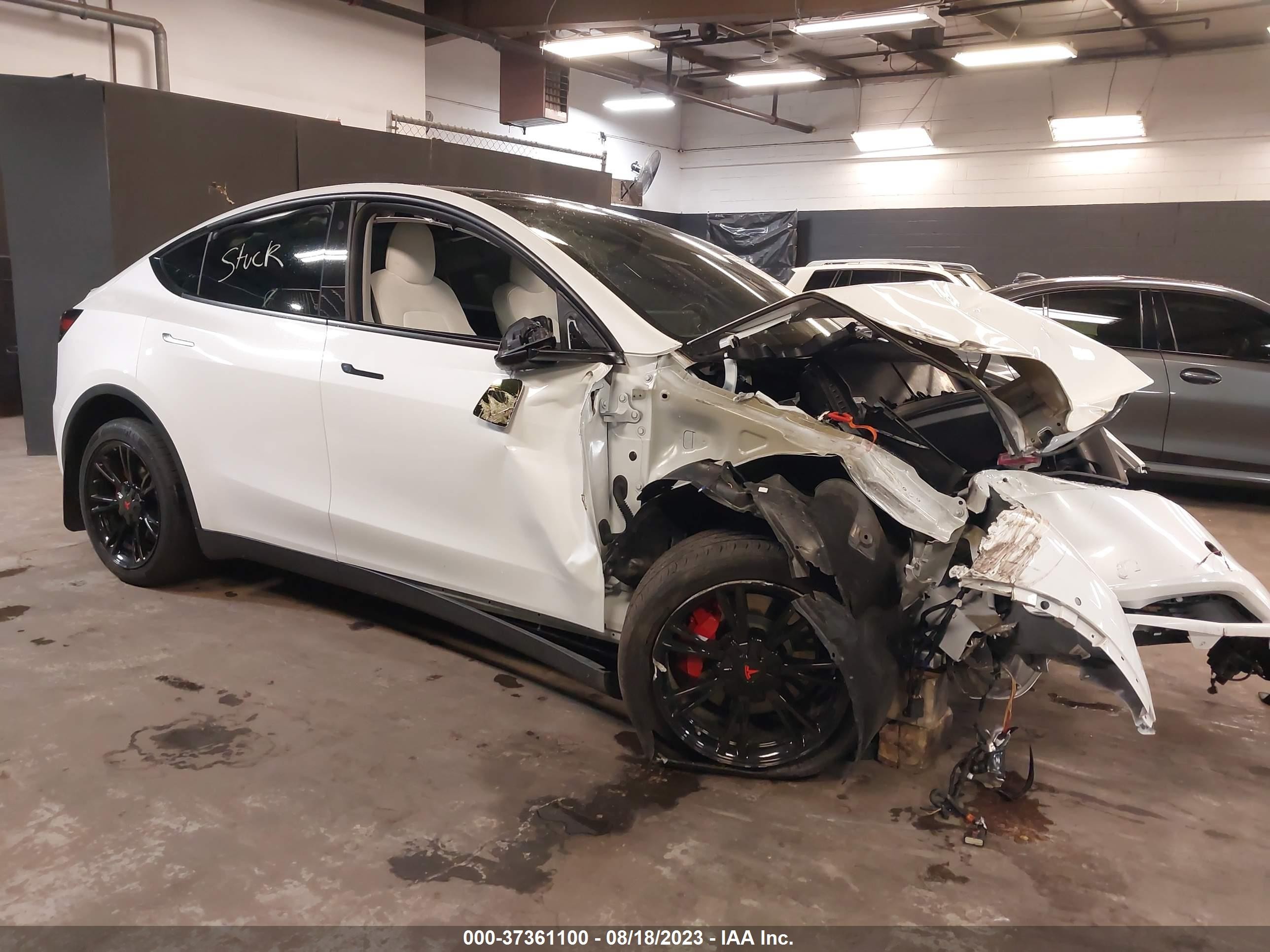2021 tesla model y