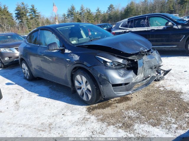 2024 TESLA Model Y