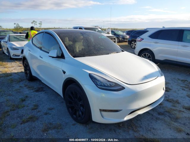 2022 TESLA Model Y