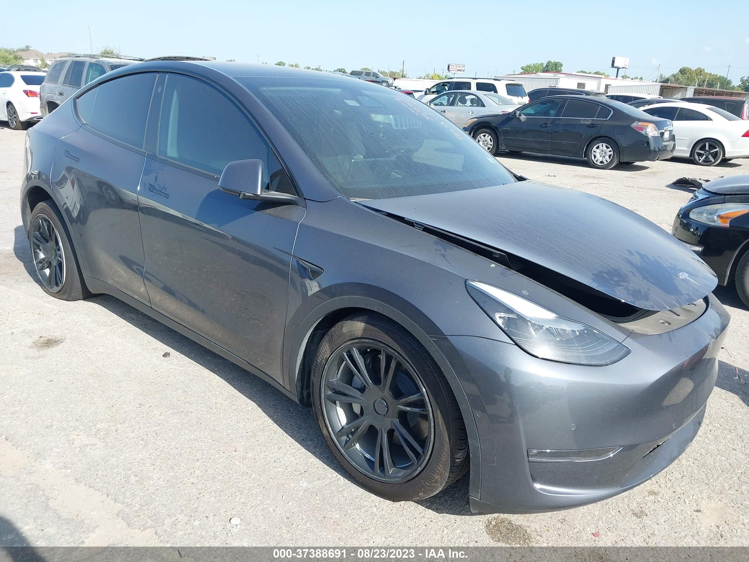 2022 tesla model y