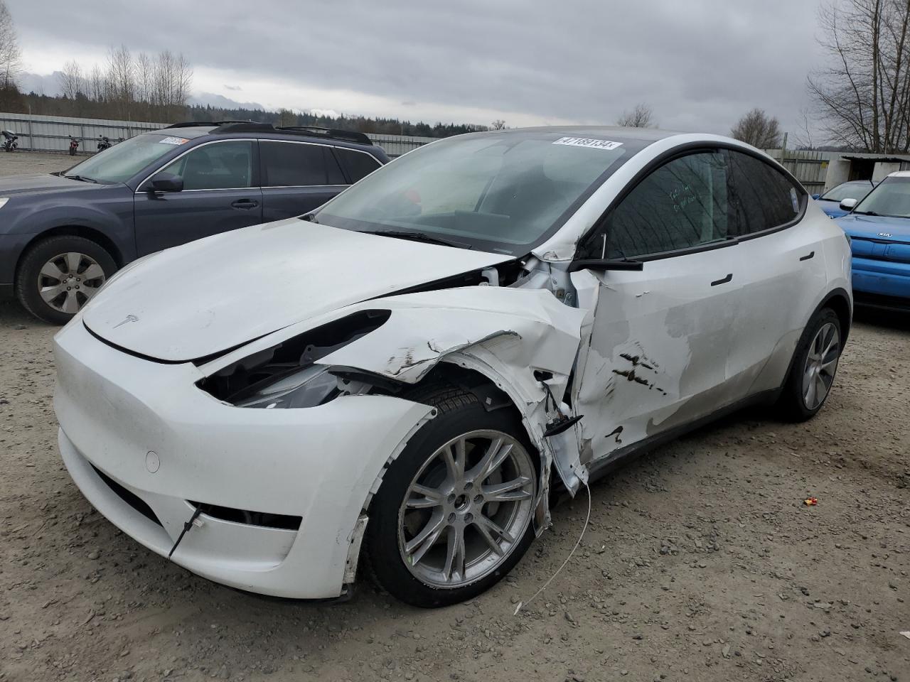 2022 tesla model y