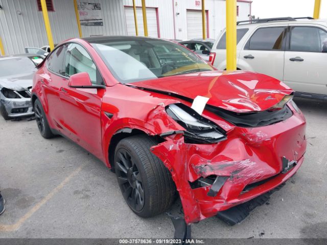 2023 tesla model y