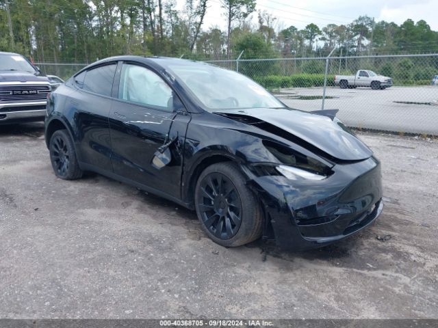 2024 TESLA Model Y