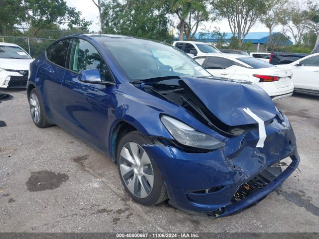 2024 TESLA Model Y