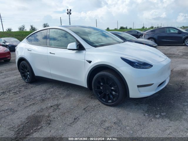 2024 TESLA Model Y