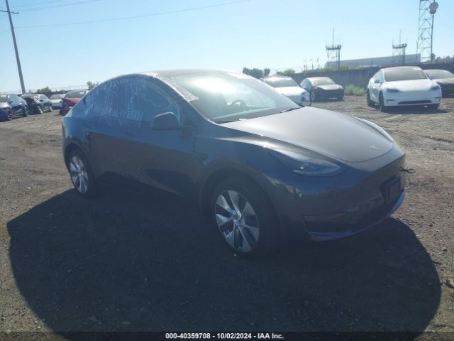 2024 TESLA Model Y