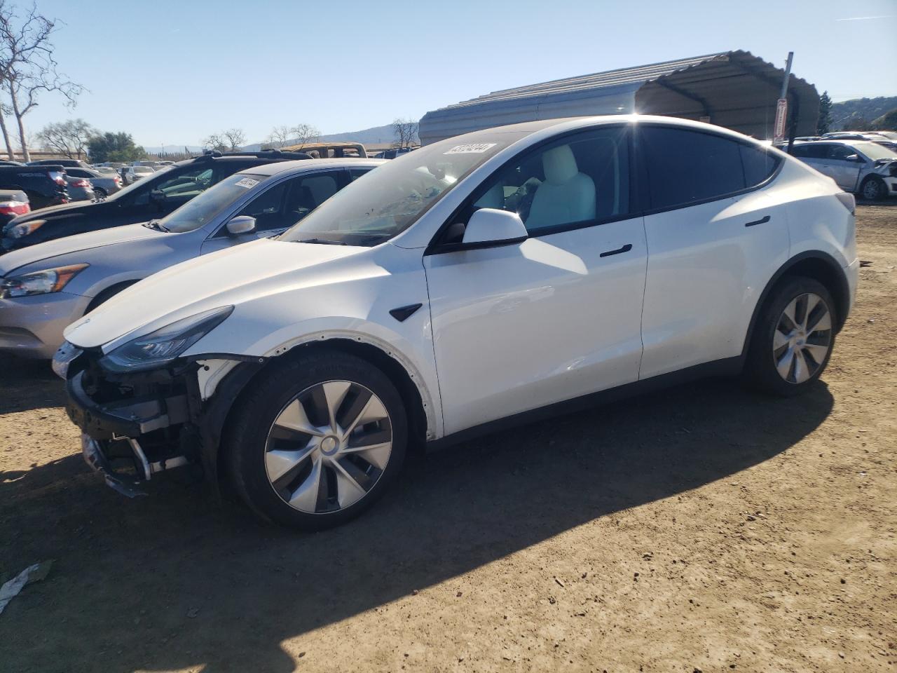 2022 tesla model y