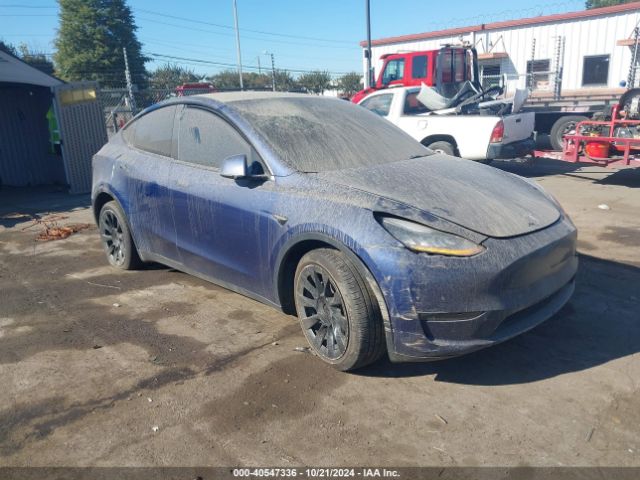 2022 TESLA Model Y