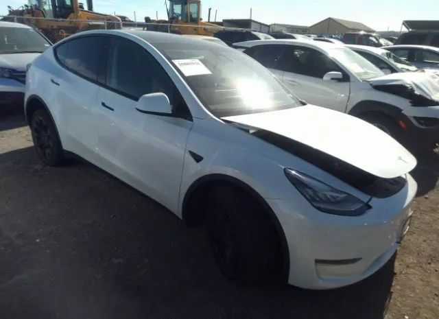 2022 tesla model y