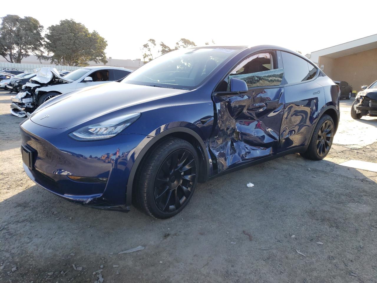 2023 tesla model y