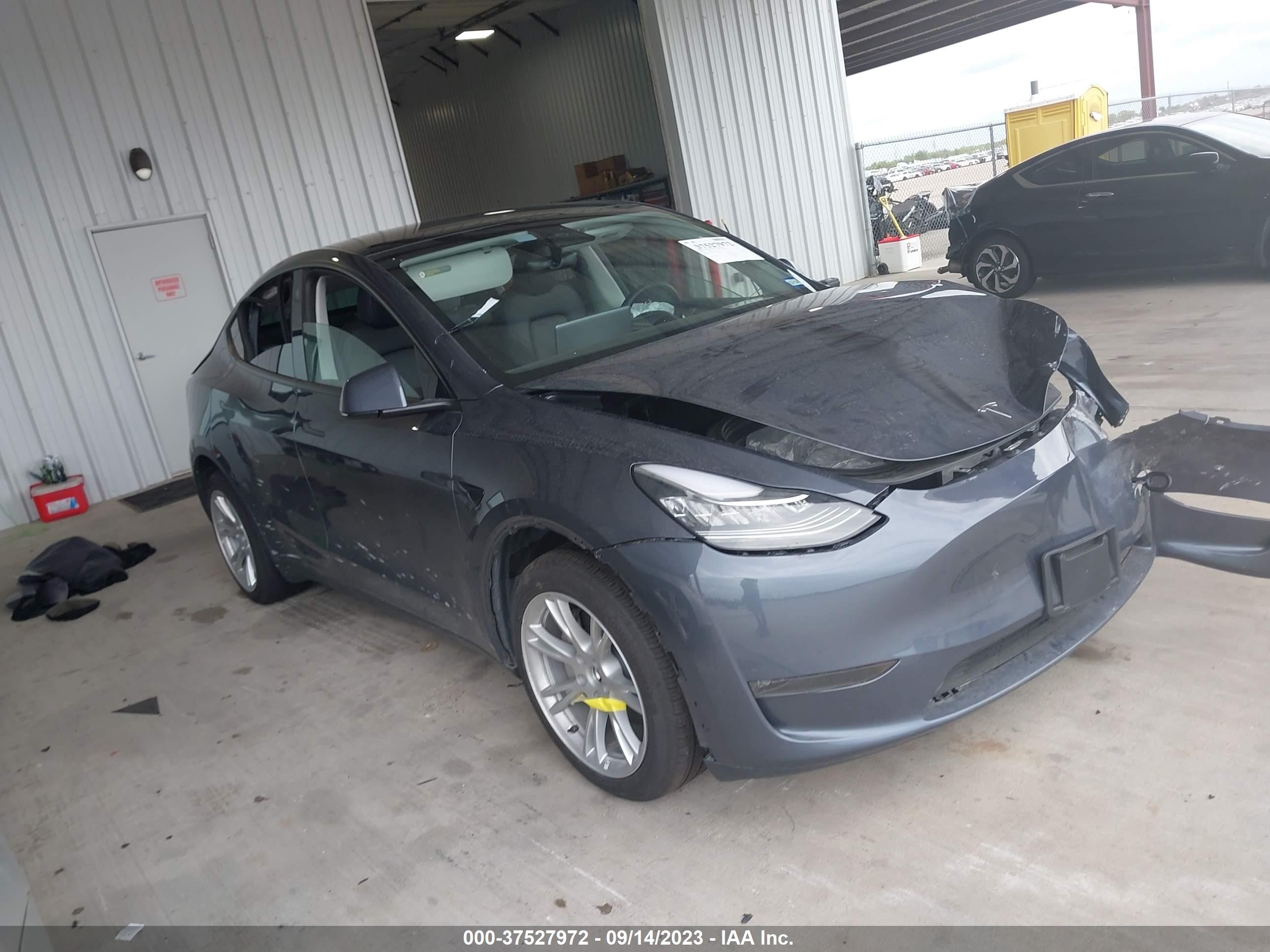2023 tesla model y