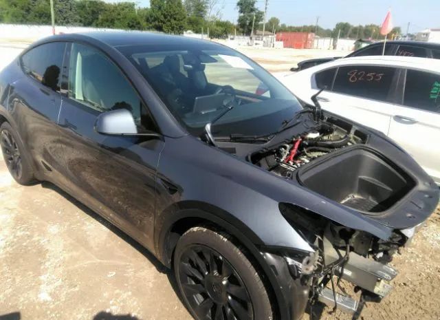 2023 tesla model y