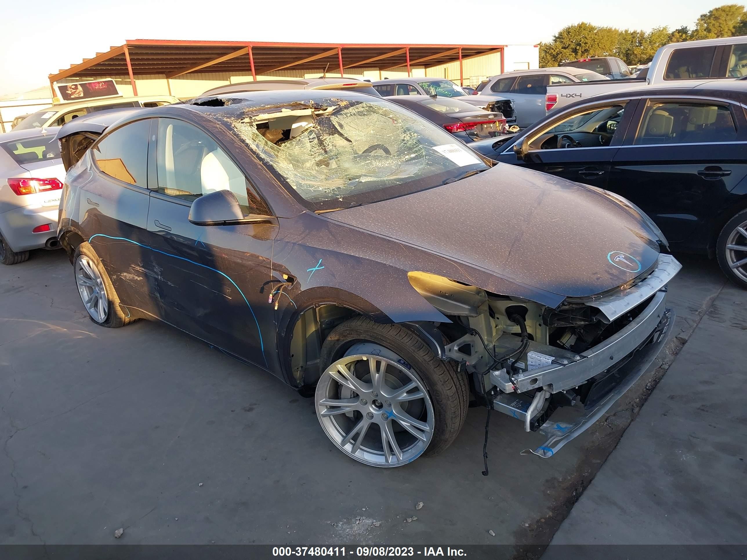 2023 tesla model y