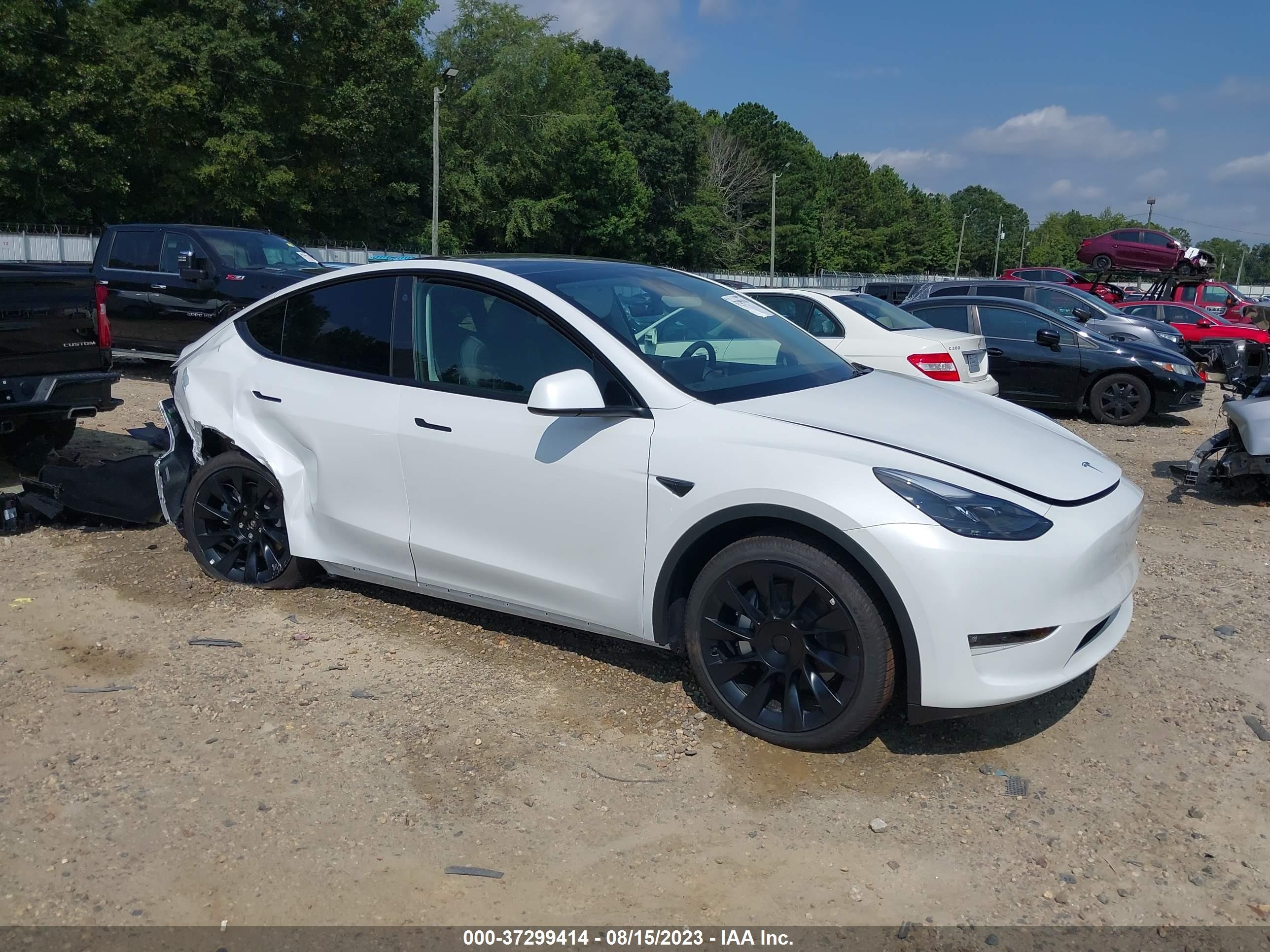2023 tesla model y