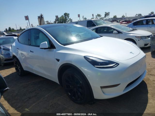 2023 TESLA Model Y