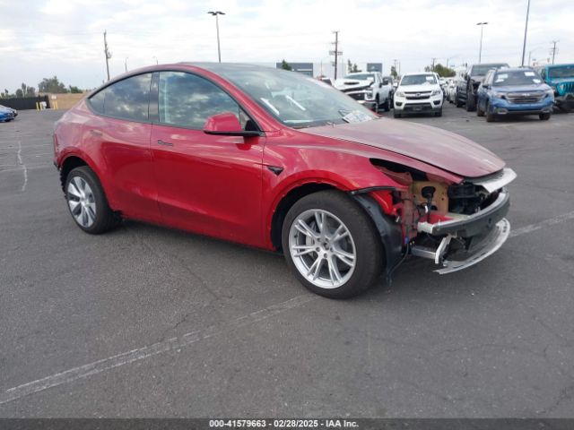 2024 TESLA Model Y