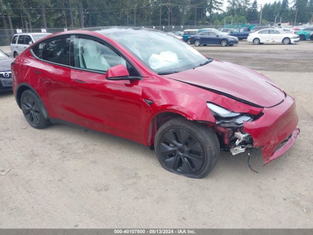 2024 TESLA Model Y