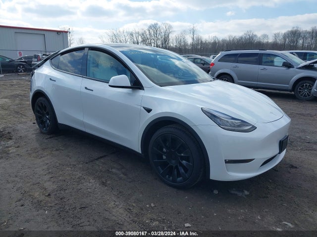 2022 tesla model y