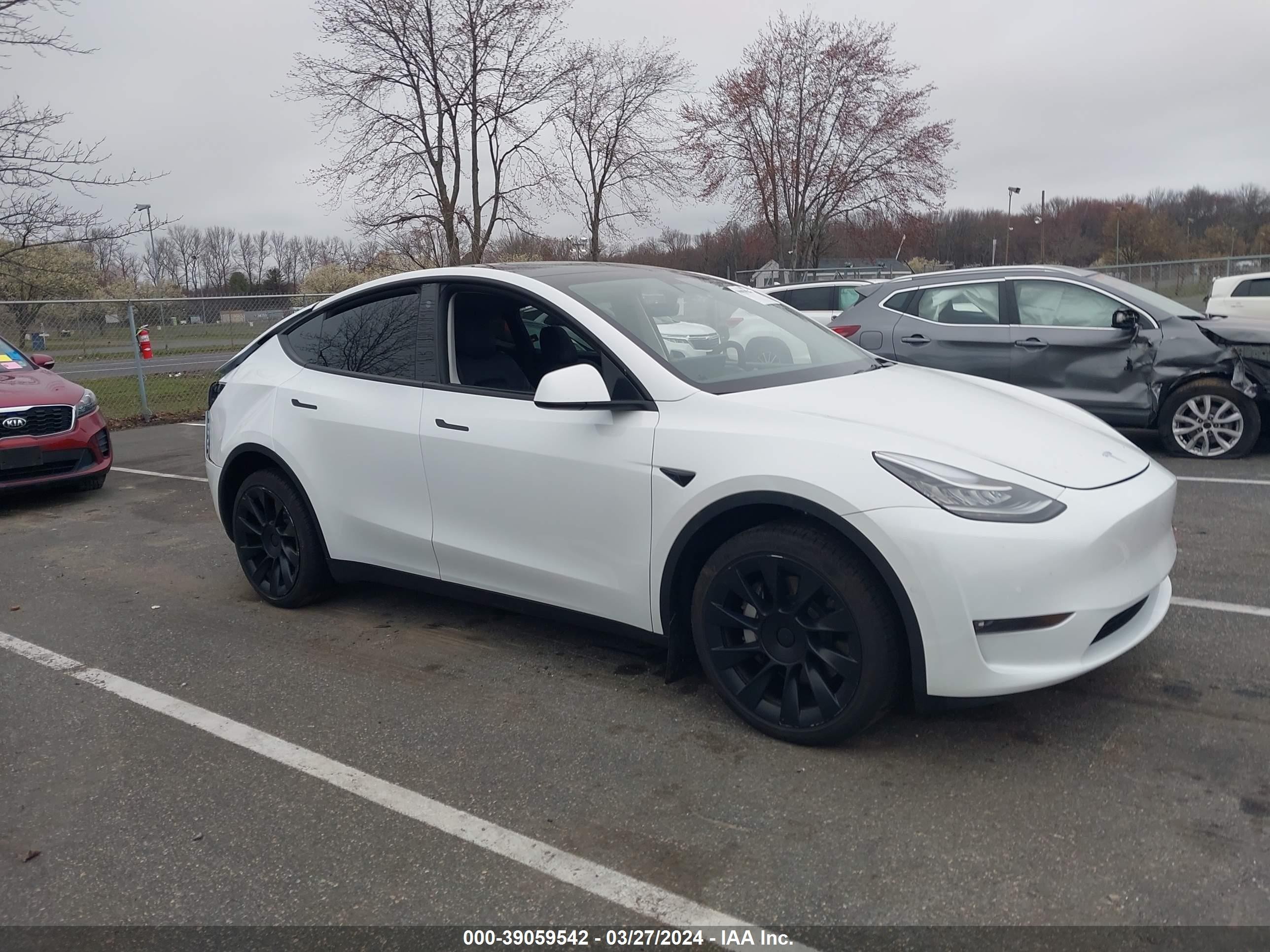 2022 tesla model y
