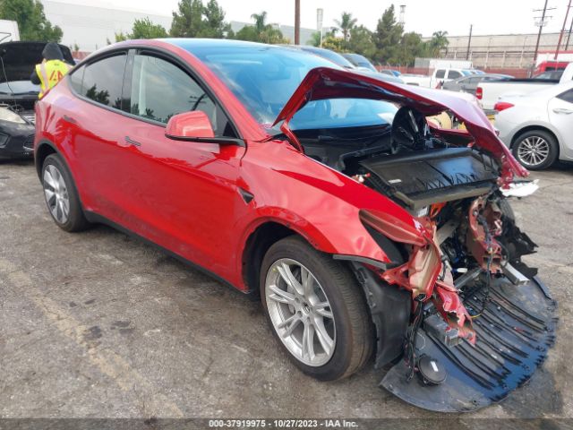 2023 tesla model y