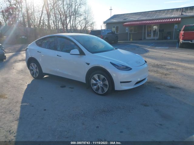 2023 tesla model y