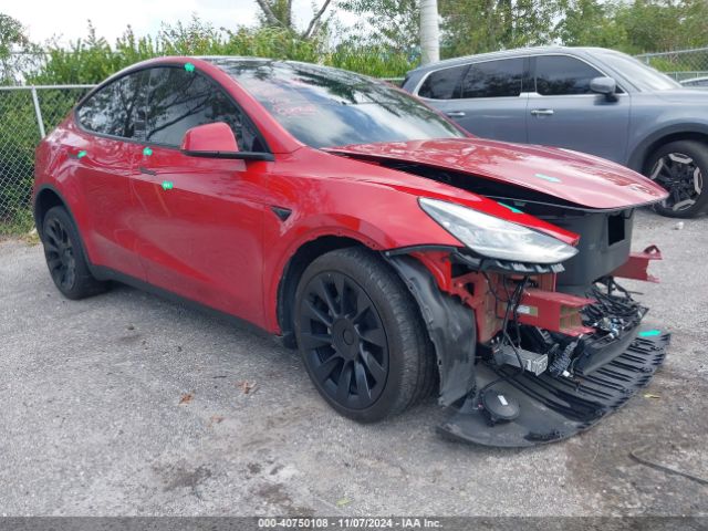 2023 TESLA Model Y