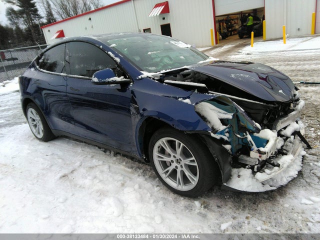 2023 tesla model y