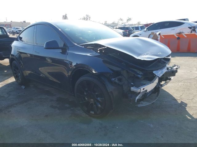2024 TESLA Model Y