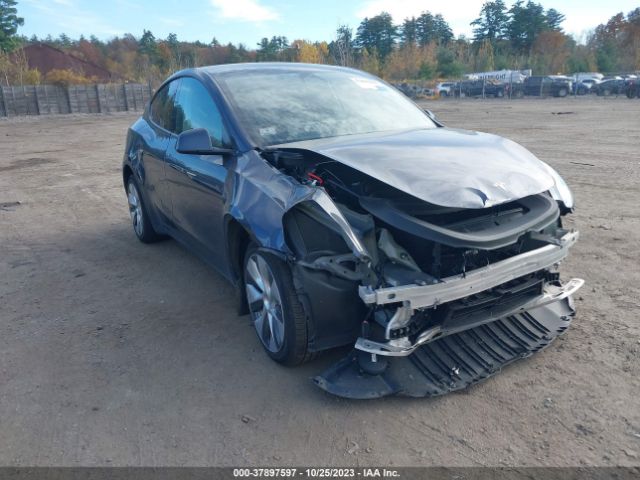 2022 tesla model y