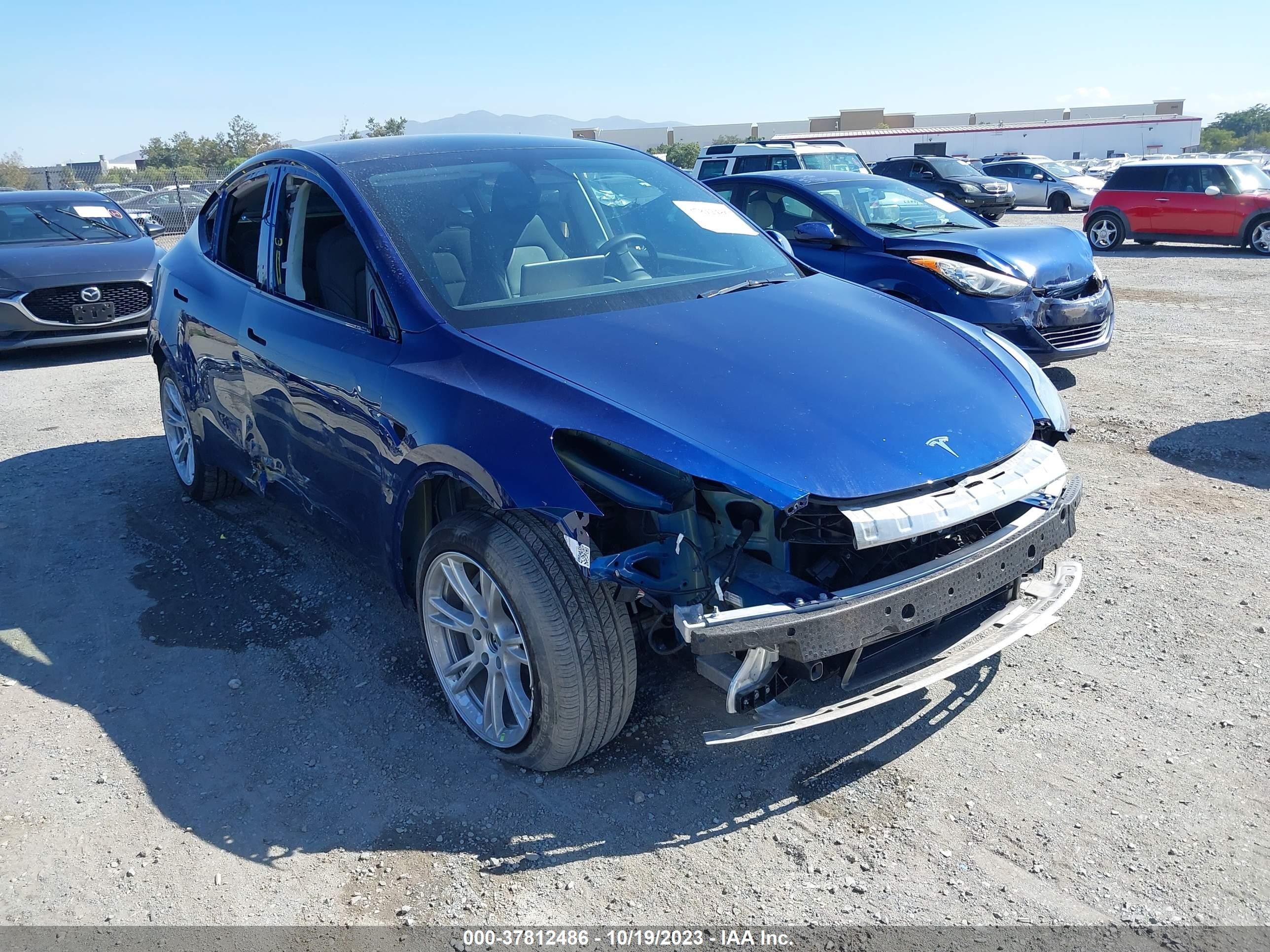 2023 tesla model y