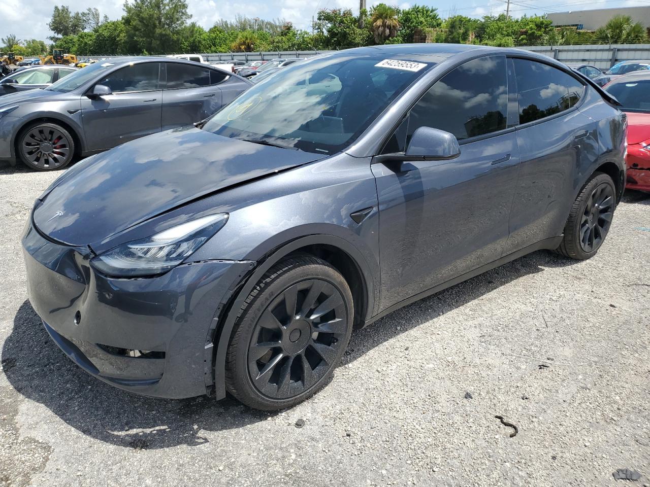 2023 tesla model y