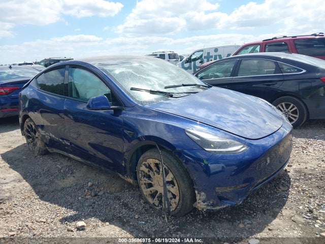 2022 tesla model y