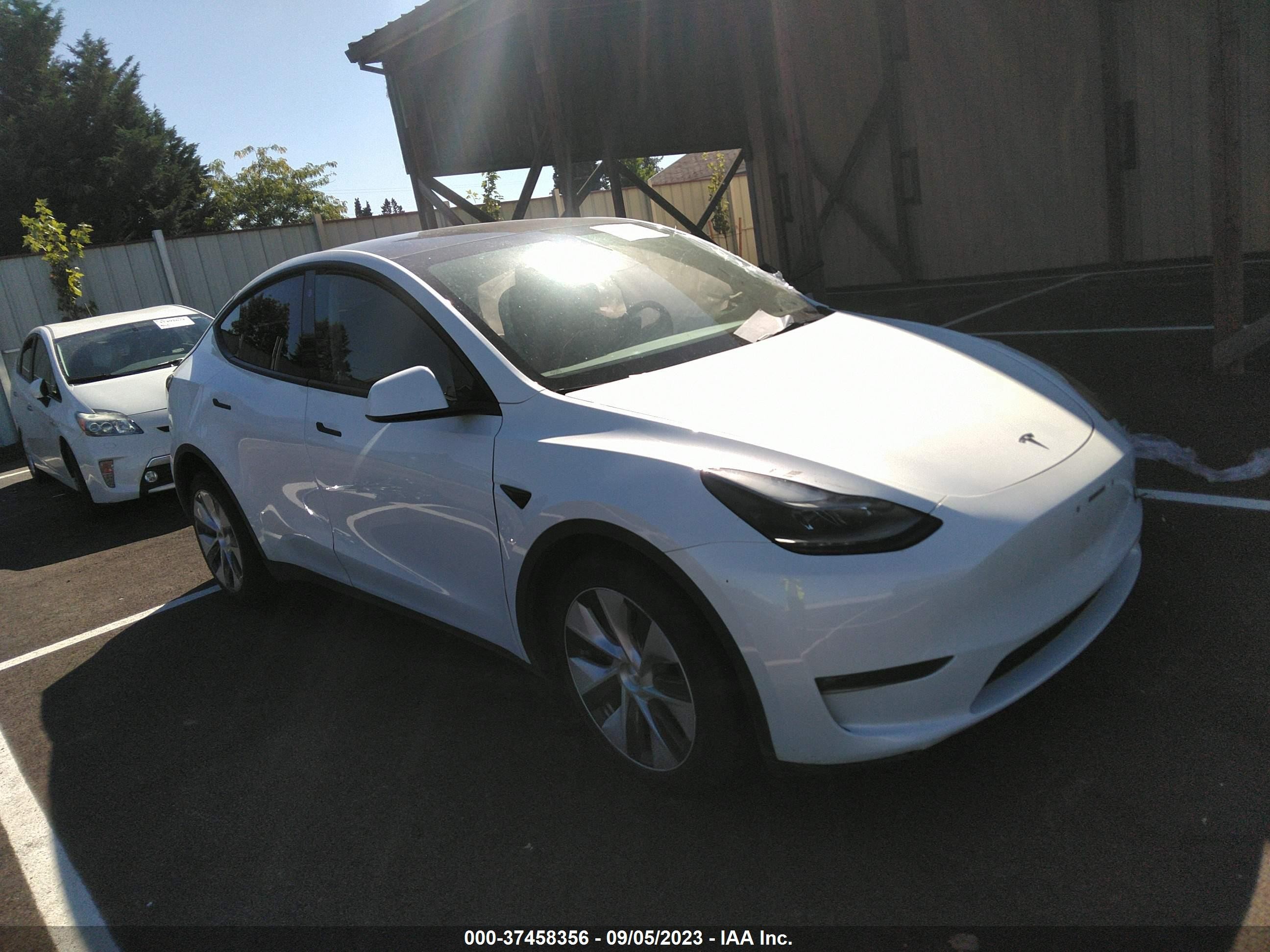 2022 tesla model y