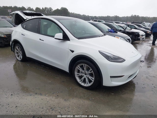 2023 tesla model y