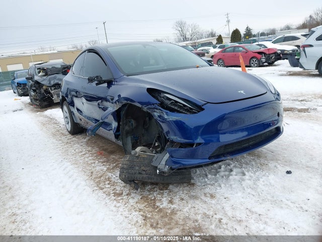2023 tesla model y