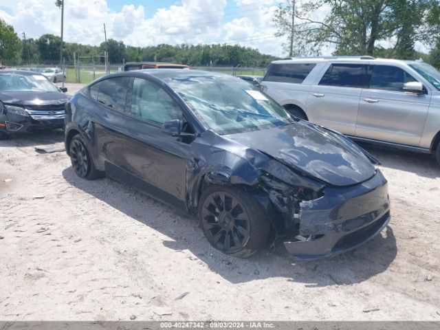 2024 TESLA Model Y