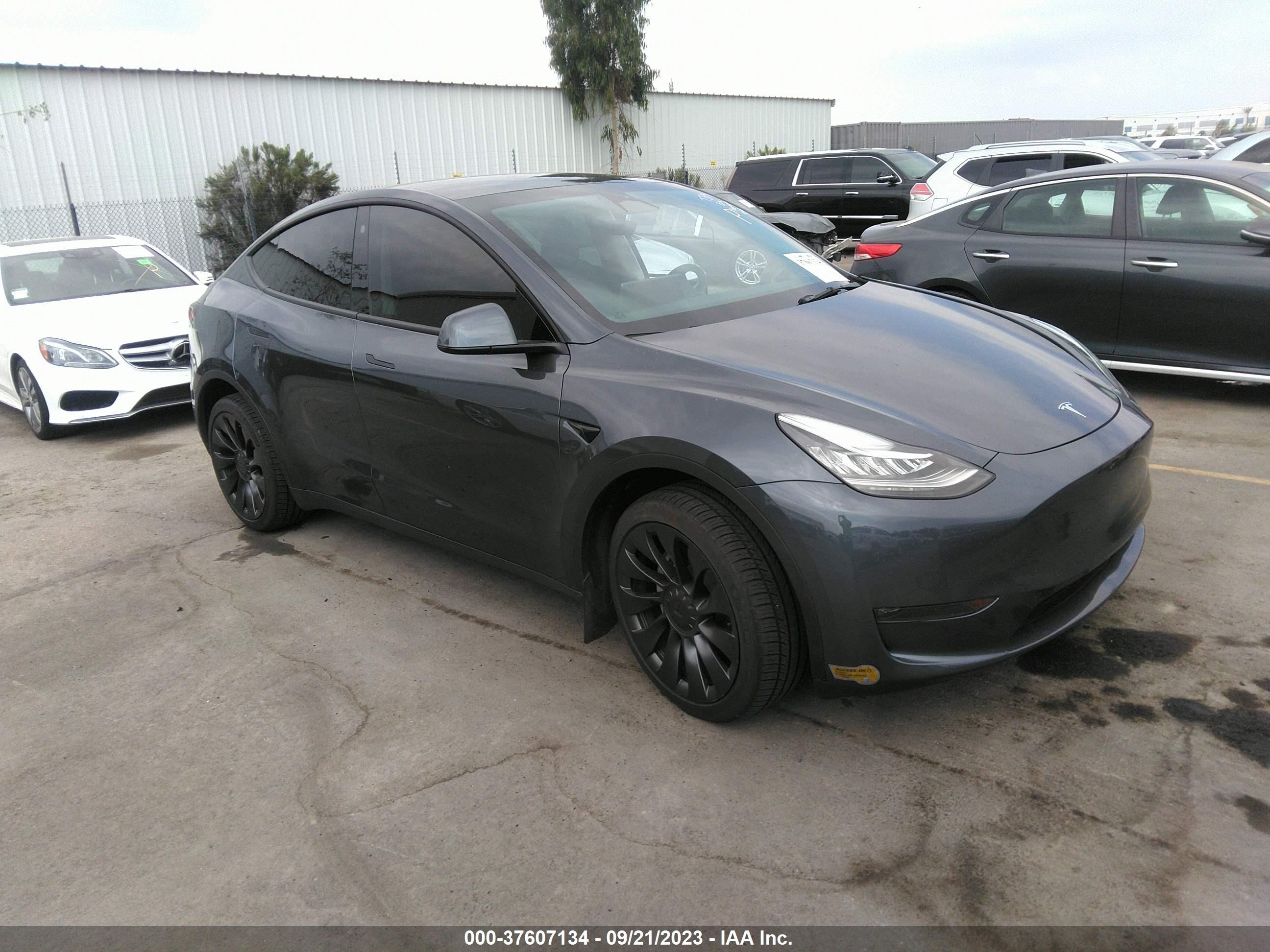 2022 tesla model y
