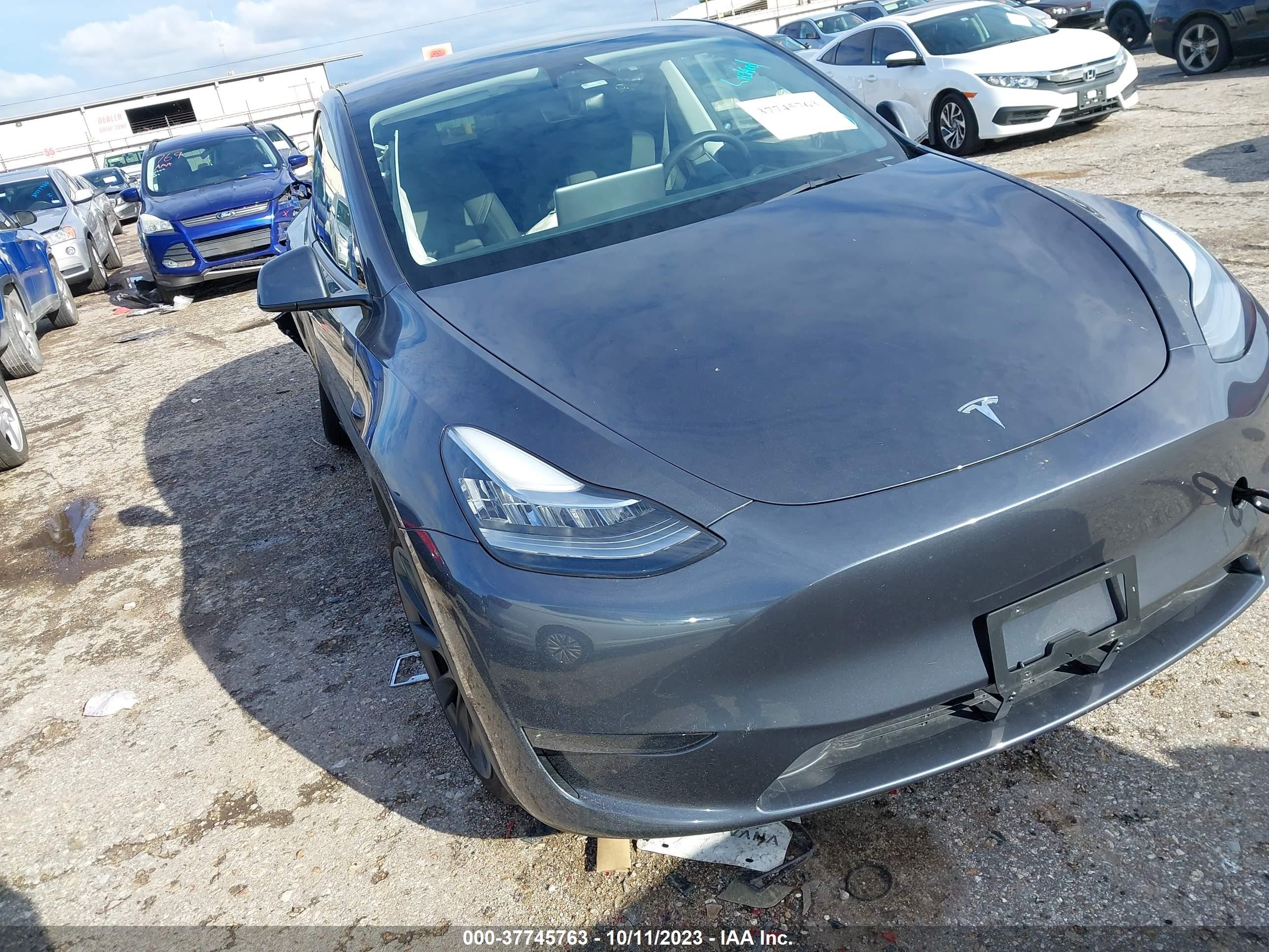 2022 tesla model y