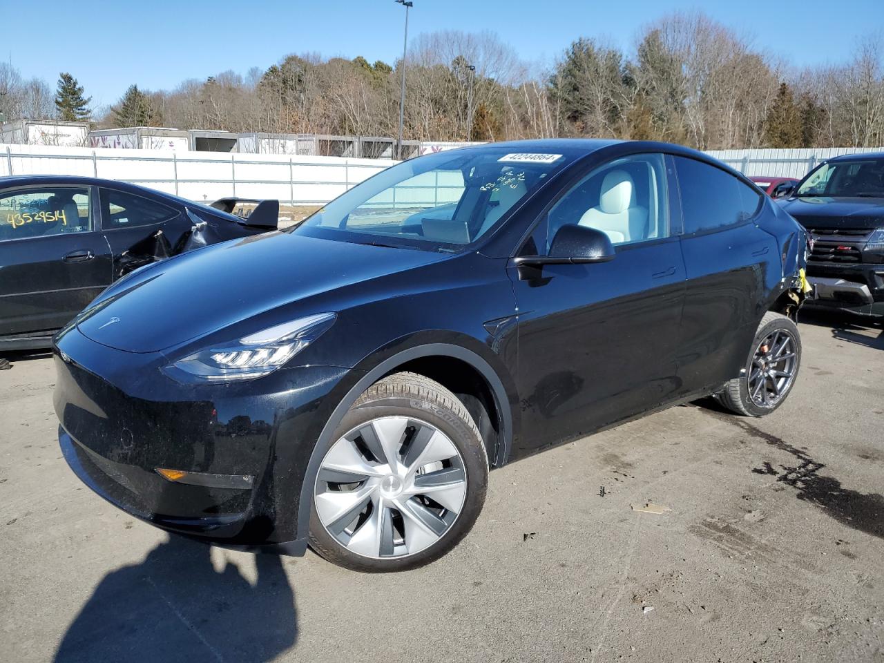 2023 tesla model y