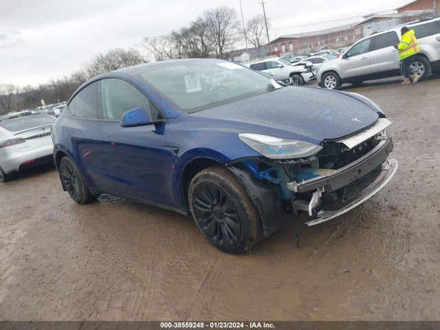 2023 tesla model y