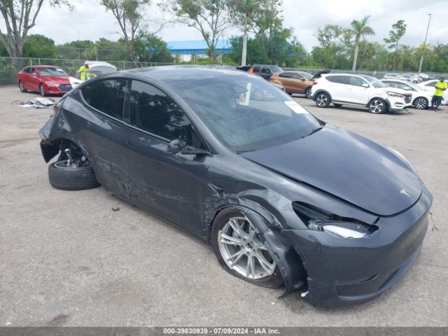 2024 TESLA Model Y