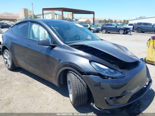 2024 TESLA Model Y