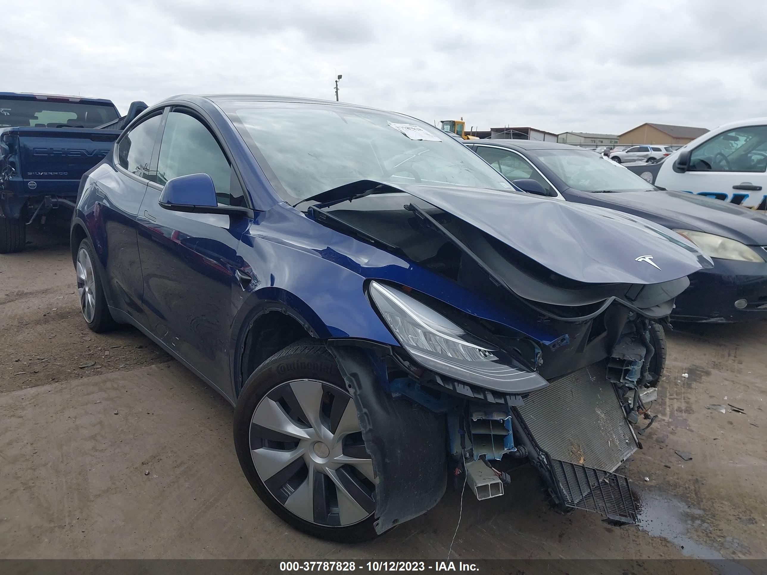 2022 tesla model y