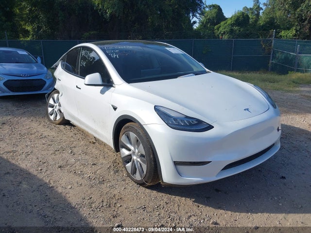 2022 tesla model y